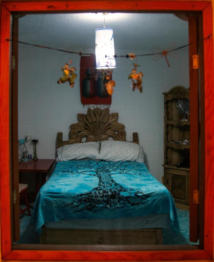 サン・ミゲル・デ・アジェンデ Casa Chuparrosaホステル エクステリア 写真